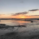View 2