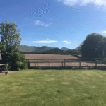 View 14