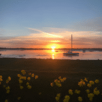 View 28