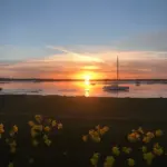 View 28